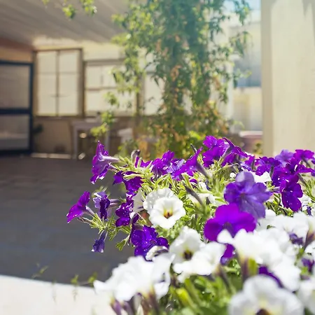 ベッド・アンド・ブレックファスト Notos