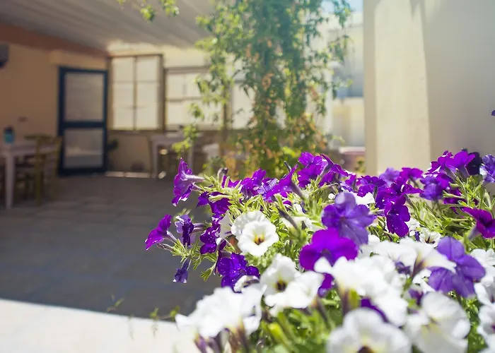 Nocleg ze śniadaniem Notos